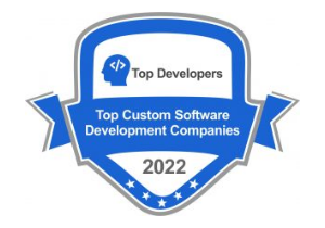 Top-Custom-Software-2022