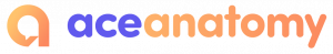 ace anatomy logo