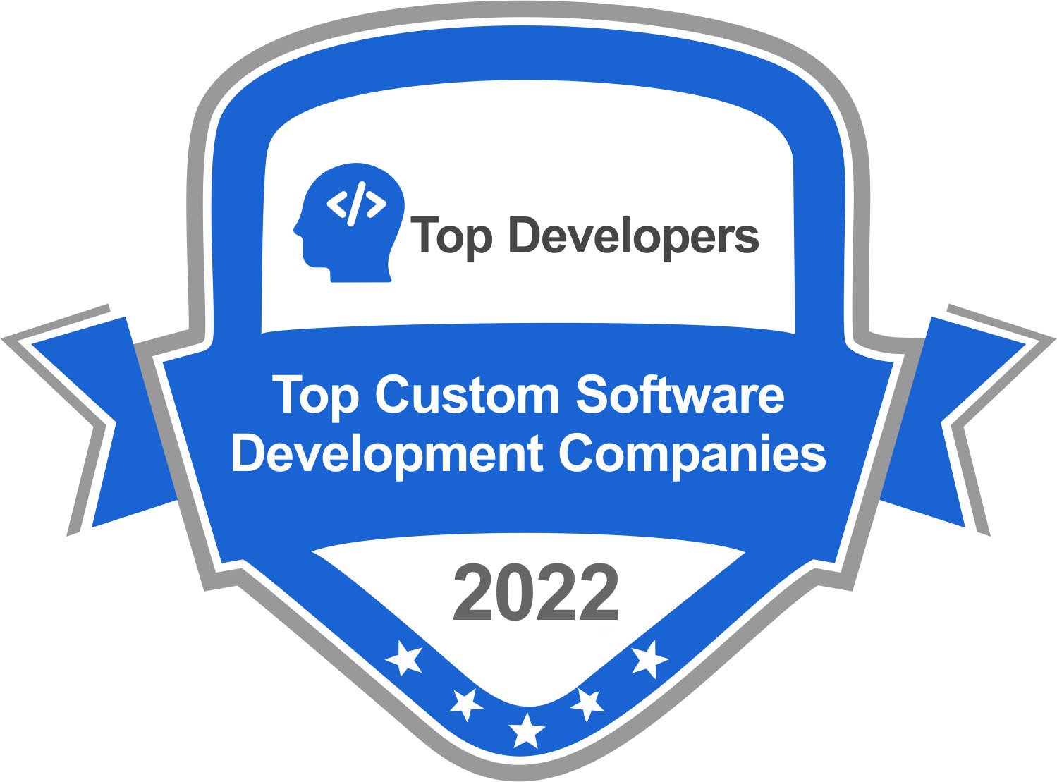 Top-Custom-Software-2022